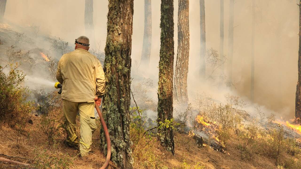 Muğla ve Aydın’da 2025’te 429 Yangın! 3 Bin 800 Dönüm Alan Kül Oldu 7